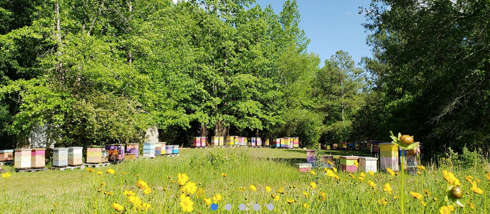 Adopt-A-Hive