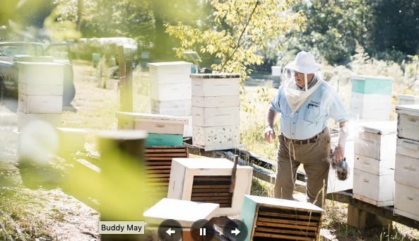 Adopt-A-Hive