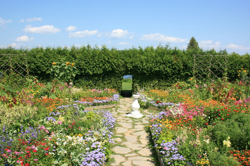 Back Yard Garden Walking Paths