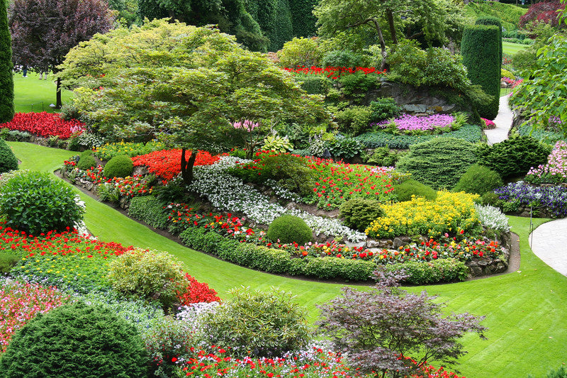 Front Yard Garden Example