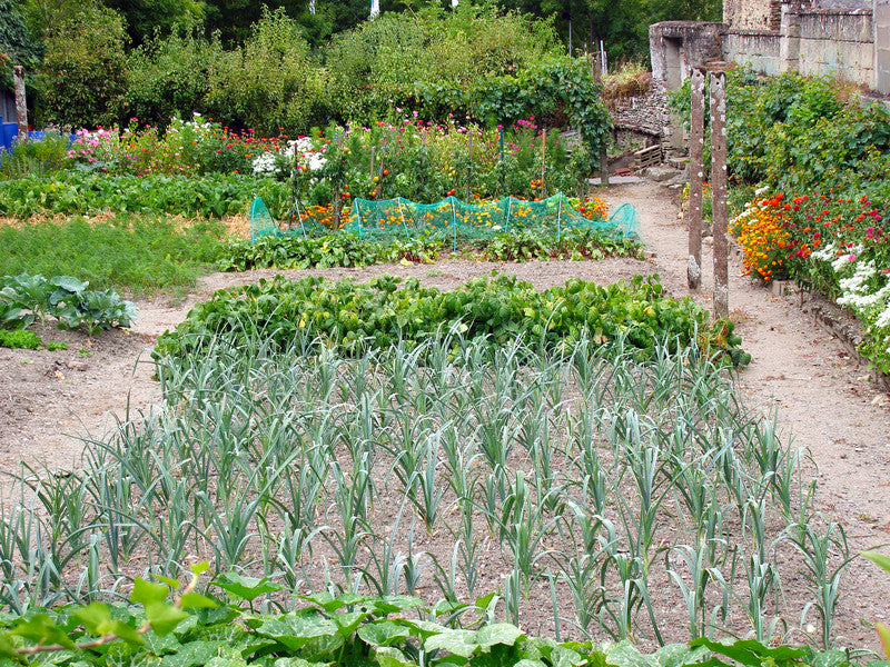 Sustainable Lawn & Garden Credits
