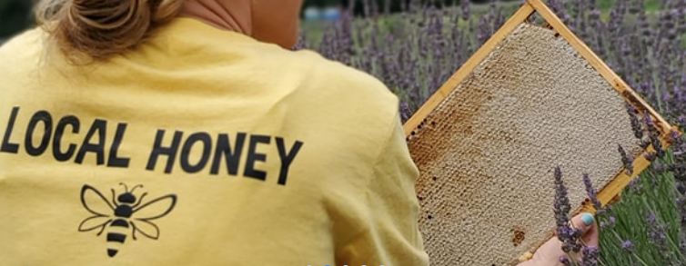 Adopt-A-Hive